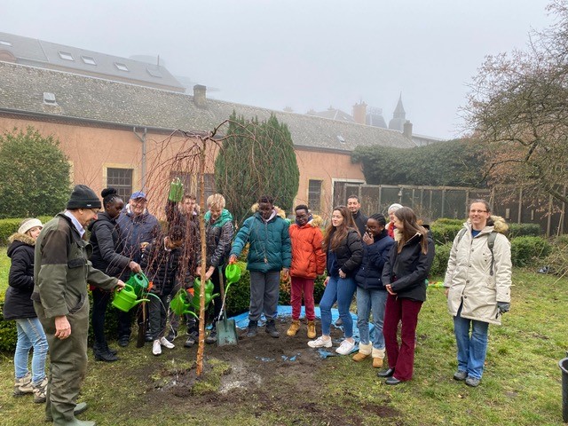 Tree planting 26 Jan