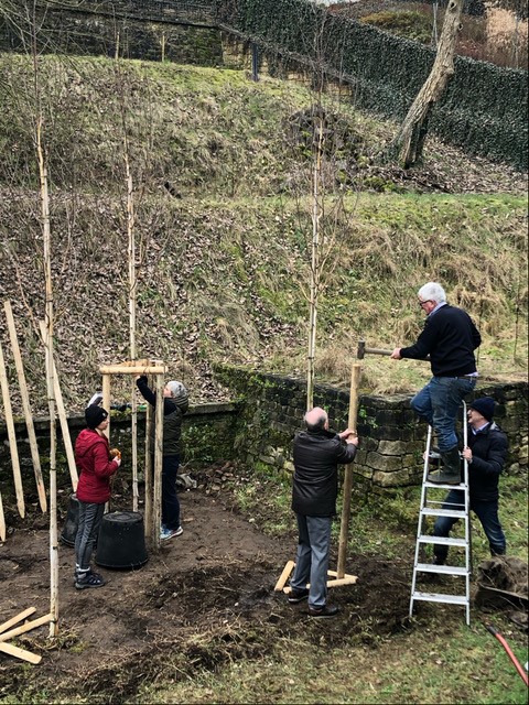 Tree planting ancienne cote d'Eich