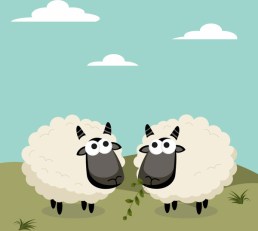 cartoon_sheep_design_vector_559278